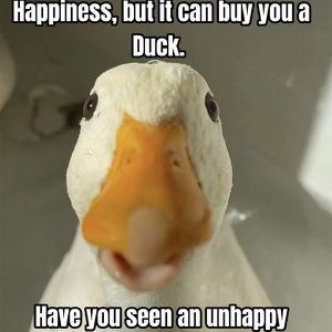 Fundraising Page: Beth Sheidley